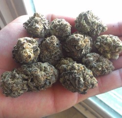 bluntrollerandsmoker:  GirlScoutCookies 🍪🍪🍪🍪🍪