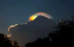 An extremely rare rainbow-colored pileus iridescent cloud over