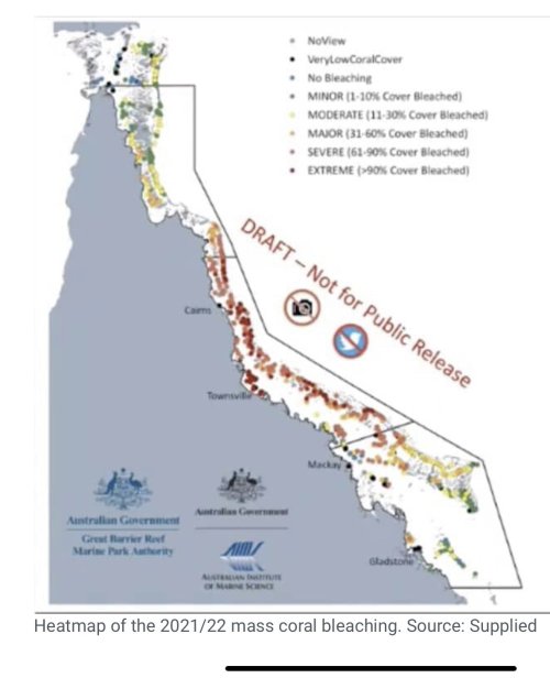 mapsontheweb:  Leaked draft map of bleaching damage to the Great
