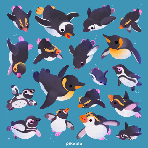 pikaole:Penguin day[ Patreon / galaxy themes / insta / S6 / RB