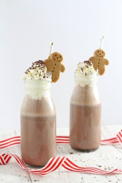 foodiebliss:  Frozen Gingerbread Hot ChocolateSource: My Fussy