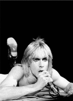 soundsof71:  Iggy Pop, 1973, Brooklyn Academy of Music, by Bill