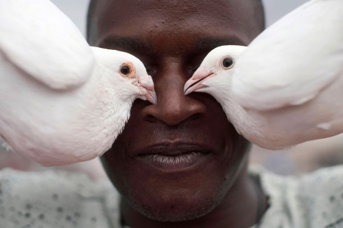 killing-the-prophet:Pigeon fancier Yonisbel Santana poses for