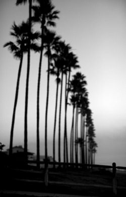 justjulespictures:  Going to California with an achin’ in my
