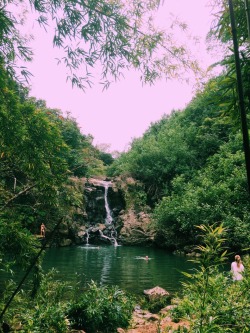 trapicalshawty:  bakedgypsy:  Outtake from the bamboo forest