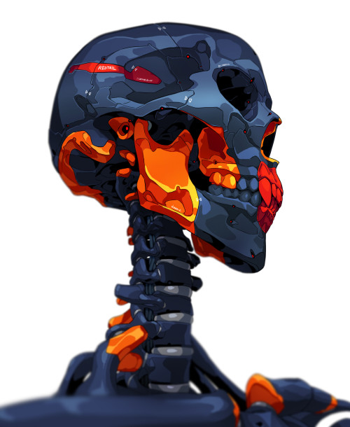 thecollectibles:  Enhanced skeleton by  TERU  