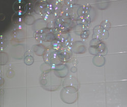 lovelylittlelittlepet:  Bubbles!!!!!!!!