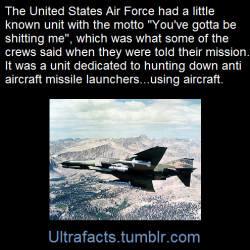 ultrafacts:    Wild Weasel is a code name given by the United