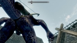 Fooling about with the camera on Skyrim, it looks like the Dragonborn