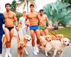 famousmeat:Guys in underwear walking puppies, by Bruce Weber