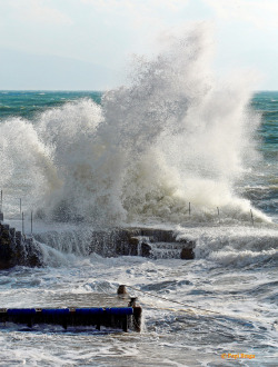 gejianxin:  Big Wave at Covo di Nord Est Big wave at Covo di