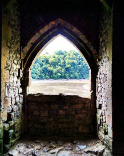 daithebay:  at Chepstow Castle