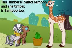timberthewoodpony:  MOD: Bamboo is the child hood friend of