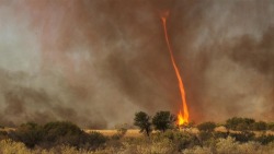 coolthingoftheday:  A fire tornado - also known as a fire whirl,