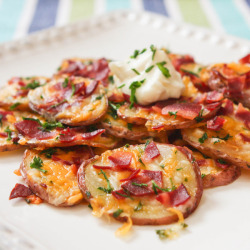 thedapperproject:  fattiesdelight: Loaded Baked Potato Rounds