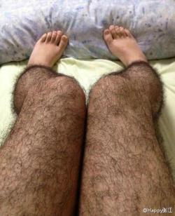 the-absolute-funniest-posts:  laughingsquid: Hairy Stockings