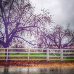 It was a bit wet after work today. #YucaipaCa #Snapseed  (at