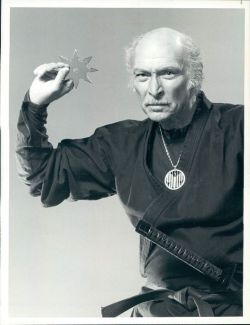 theactioneer:  Lee Van Cleef promo photo from The Master (1984)