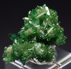 bijoux-et-mineraux:  Chromian Vesuvianite - Jeffrey Mine, Quebec,