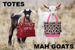 farmfreshmuscle:  randywomble:  Totes mah goats!  a whole new