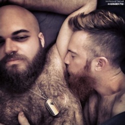 GBB - Gay Big Beards