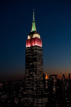 ramenuzumaki:  Amazing! The Empire State building lit up in honor