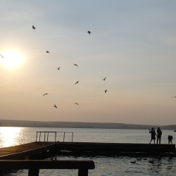 Girls silhouettes, sunset & seagull. Take I  .  Тот момент,