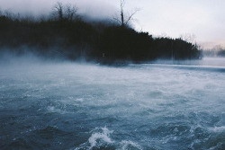 honigkuchen:  Nature on We Heart It. 