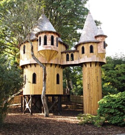 voiceofnature:  Ireland’s largest tree house at Birr Castle