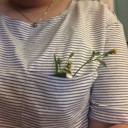 gayestflower:  My sibling gave me some little flowers, this was