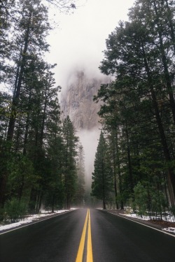 expressions-of-nature: Yosemite, California by Connor McSheffrey