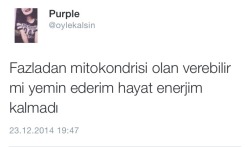 Bal köpüğü