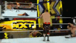 wefightonfridaynight:  NXT has taken over!