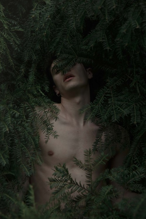 beyond-the-pale: Pasquale Autorino  