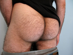 misterjackdarling:  hairy butts. give me nothing but hairy butts