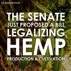 hemp-helps:  Read more hemp legalization on our Hemp Helps Blog.