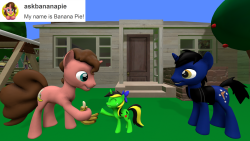 ask-the-out-buck-pony:New follower @askbananapiex3 Yay~! ^w^