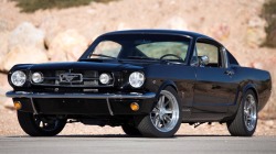 Muscle Car Dreaming