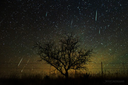 just–space:The Geminid meteor shower js