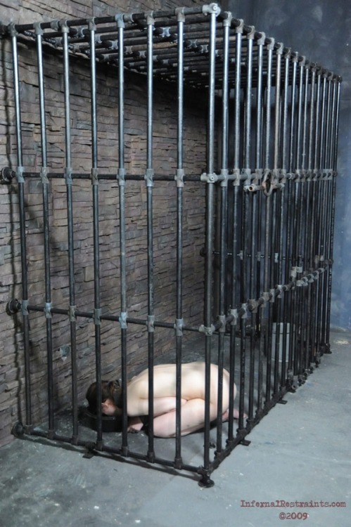 mentormedaddy:  What a lucky little girl, having such a big cage to roam about in ohyouremine 