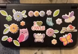 Decorated my NEW 3DSXL 🌸🍃😍