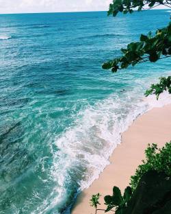 Paradise ☼