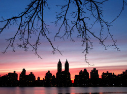 about-usa:  New York City - New York - USA (by paula soler-moya) 