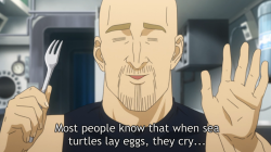 puniper:  american guy obsessed with turtles is my new favourite