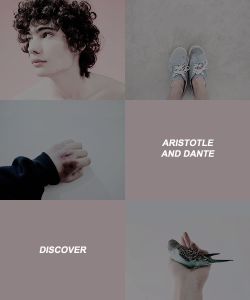 adarkling:  book aesthetics: aristotle and dante discover the