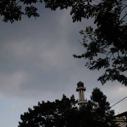 A Minaret among trees