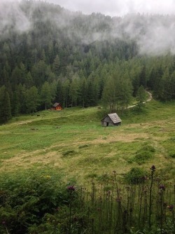 homeintheforest:  Rottenmann Hütte, Austria