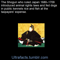 ultrafacts:Tokugawa Tsunayoshi was the fifth shogun of the Tokugawa