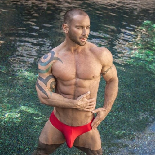 kootnybehr:  Scott Cullens   