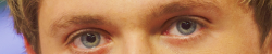 1d-s:  niall’s perfect eyes appreciation post 